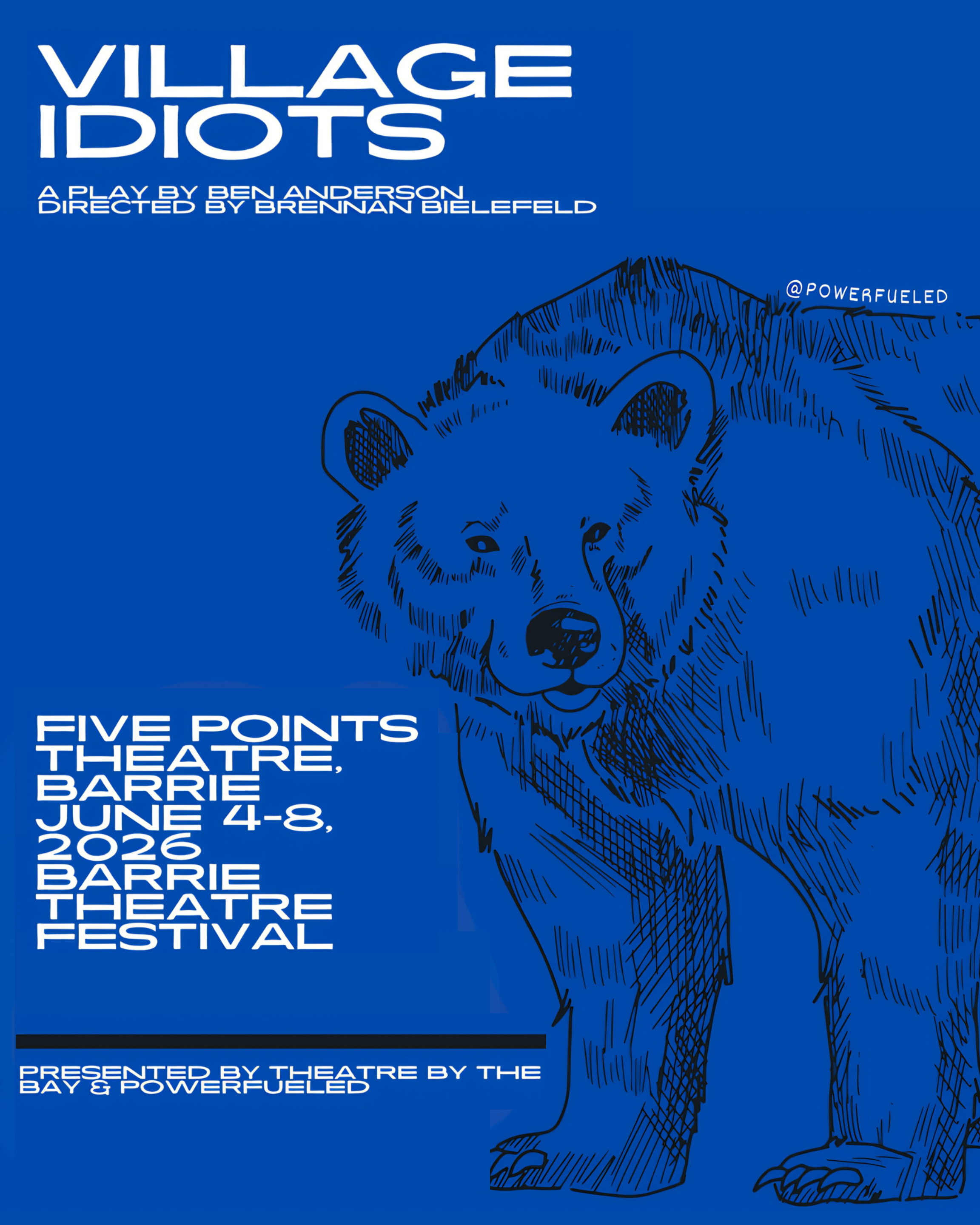 Village Idiots Poster