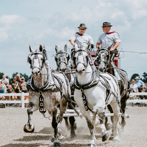 EssaNationalDraftHorseShow Essa National Draft Horseshoe Show