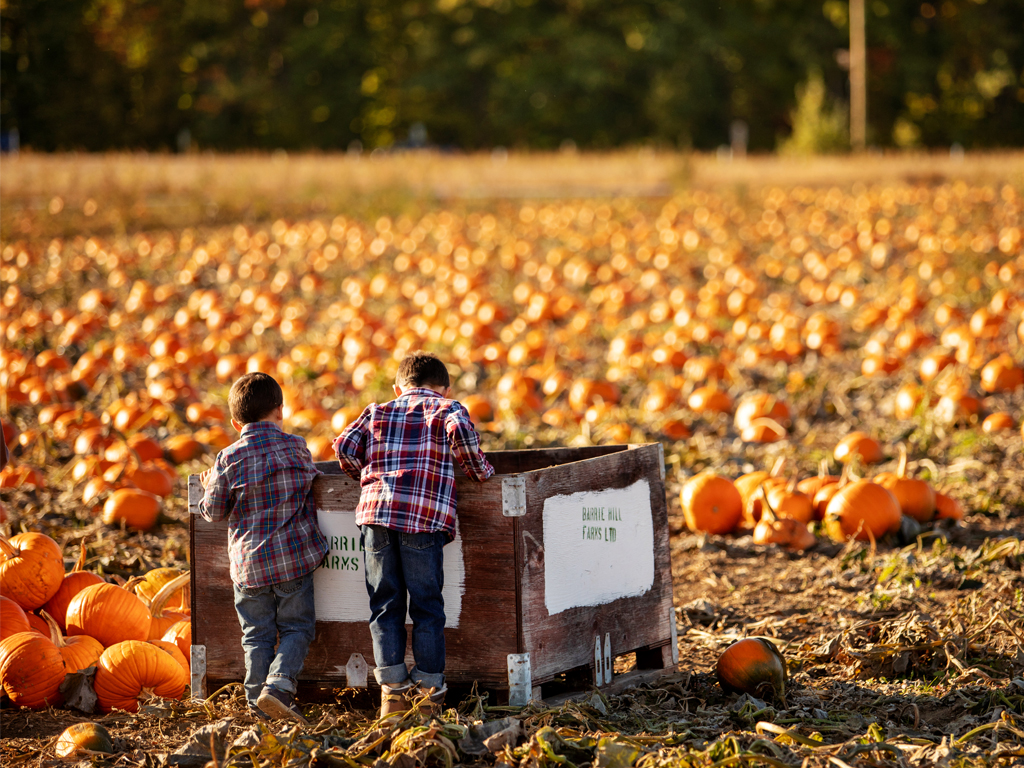 FallEvents Fall Events