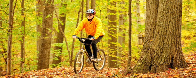BarrieByBike_Fall_Hmpg Barrie By Bike
