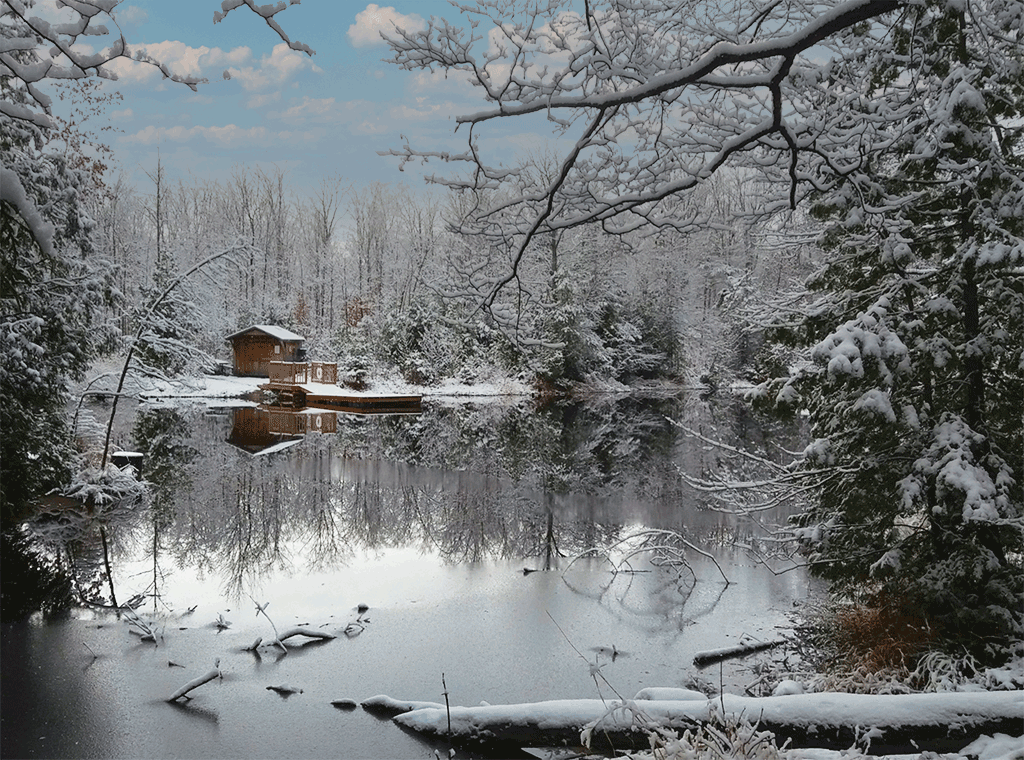 Tiffin Centre - Winter