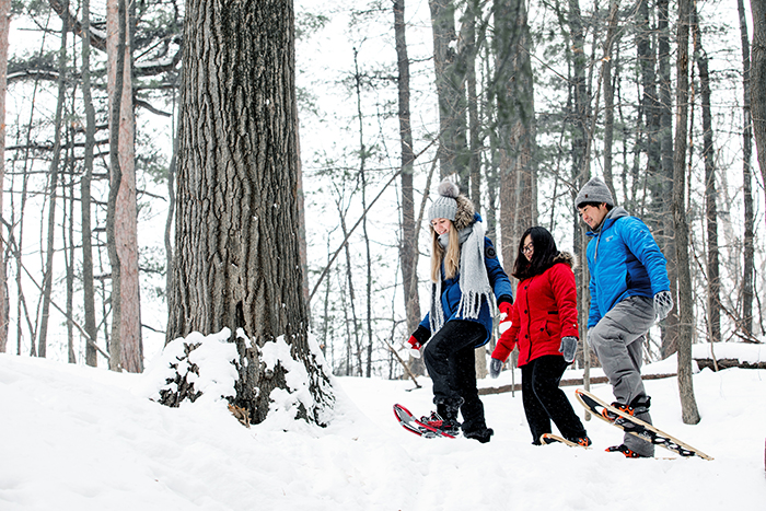 Snowshoeing