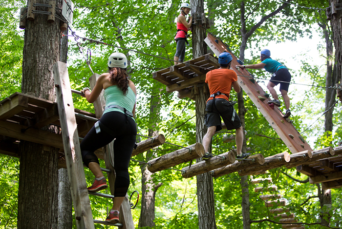 treetop 2