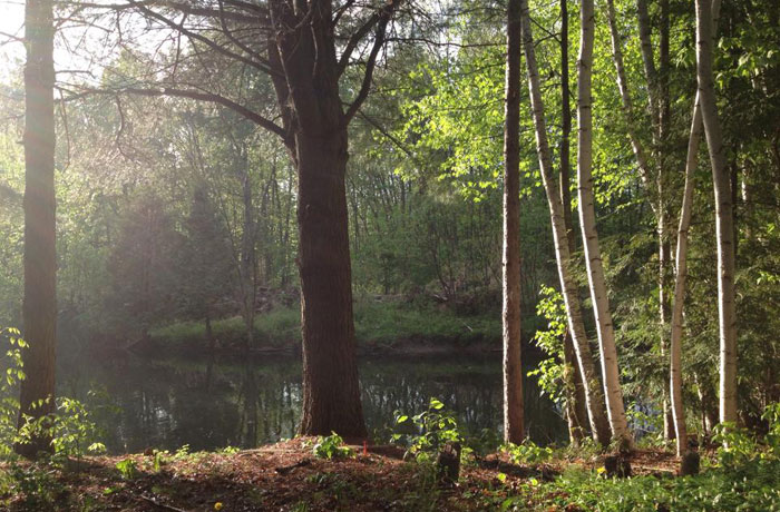 The Wilds at Cedar Valley Golf Course