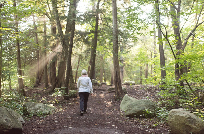 Forestbathing_Pic3