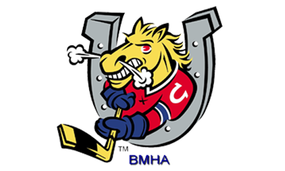 Barrie-Minor-Hockey