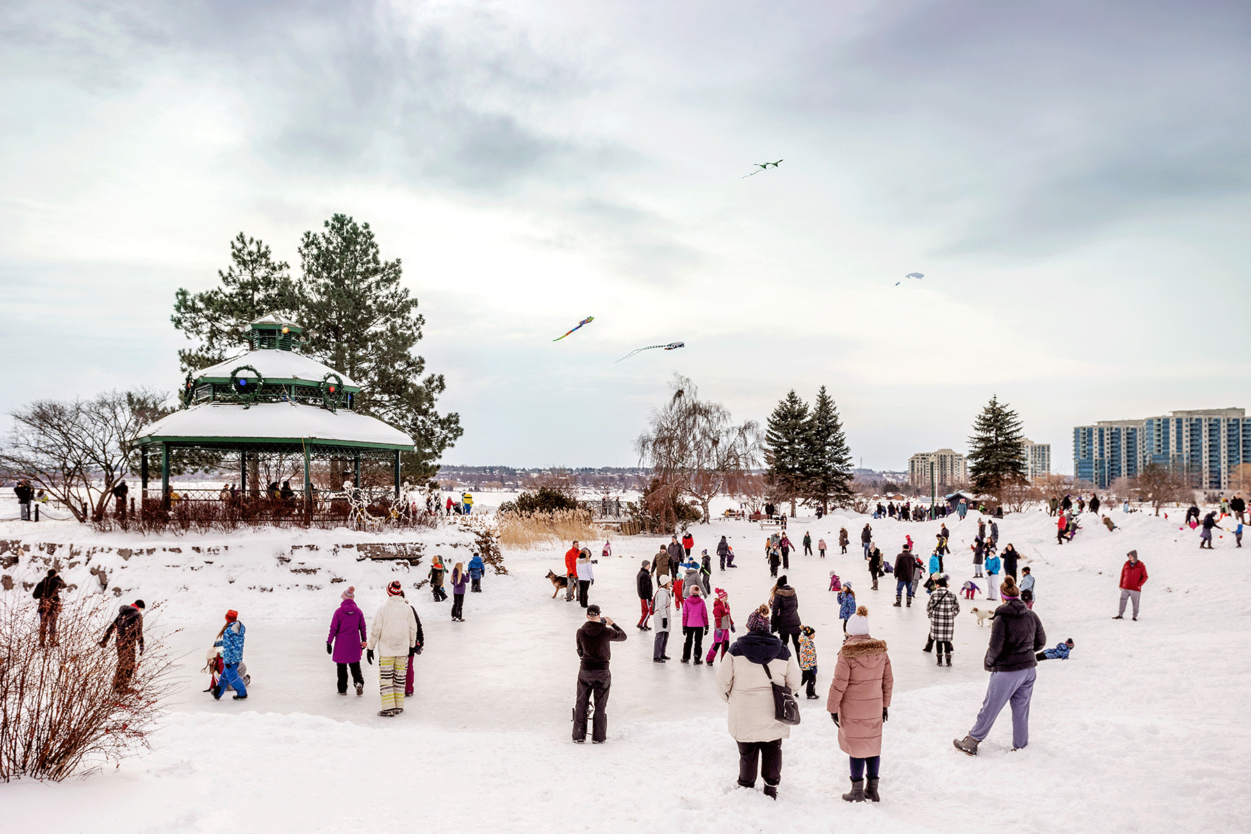 Story-1---Winterfest---Pic-1 Story-1---Winterfest---Pic-1